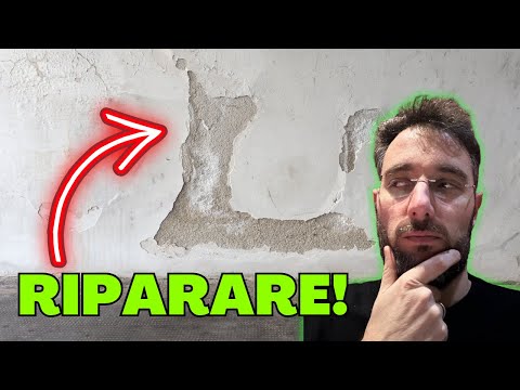 RESTORING A DAMP WALL