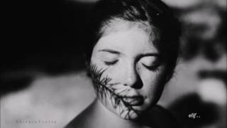 tindersticks &amp;  sweet release