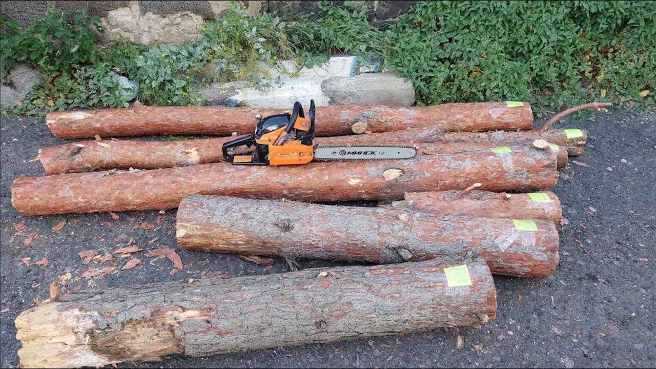 Ապարանի համայնքային ոստիկաններն ապօրինի ծառահատման դեպք են բացահայտել