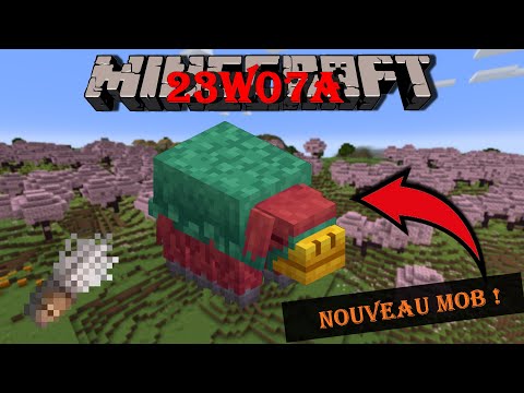Wapitika -  New mob, new biome & more!  |  Snapshot 23w07a: Minecraft 1.20