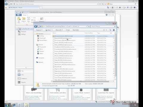Installing Extensions Automatically in DotNetNuke