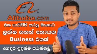 How to Start your own business using alibaba.com | New Business Ideas | E money Sinhala