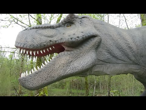 Tyrannosaurus Rex Vs Triceratops