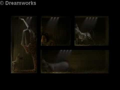 Melman from Madagascar Zoo Transfer