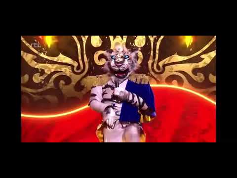 De Tijger (The Masked Singer S4A2)