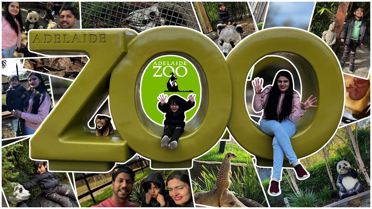 Join travelers on a visit to Adelaide Zoo.