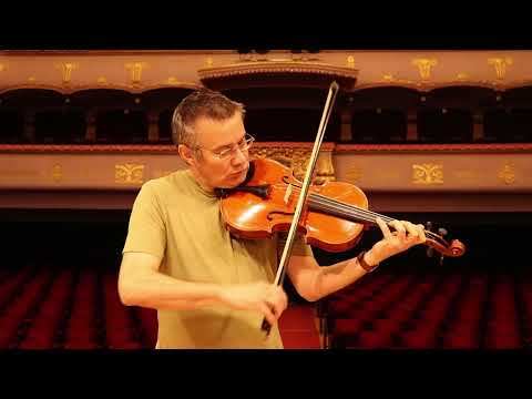 Great PRO Viola 16.5′ Hand-Made in Romania 2024 #6 image 11