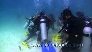 preview picture of video 'Planet Scuba: Koh Tao - Open Water - Episode 3 Dives 1&2'