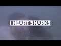 I Heart Sharks - Let's Just Pretend It's Summer ...