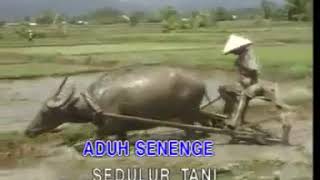 Download lagu 12. SRENGENGE NYUNAR - BOY SURO mp3 Download lagu 12. SRENGENGE NYUNAR - BOY SURO mp3