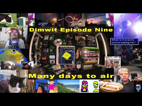 Dimwit Episode Nine
