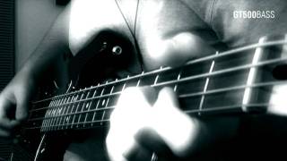 Bass Cover: New Model Army - Whirlwind