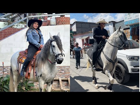 Desfile HÍPICO En San Martín Jilotepeque, Actividad De FERIA Patronal