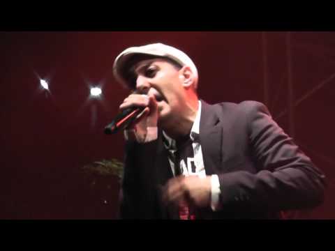 HK et les Saltimbanks- Passer ma vie -Toulouse 2013- HD -