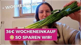 36€ Wocheneinkauf bei Netto & Lidl 😳 SO sparen wir als 5-köpfige Familie viel Geld! | Big Mary