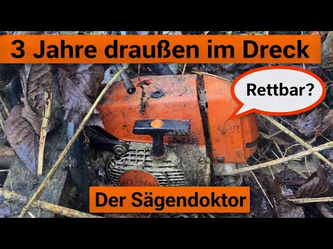 STIHL MS 260 lag 3 Jahre im Dreck #sägendoktor #haselünne #kettensäge #stihl #kettensäge 