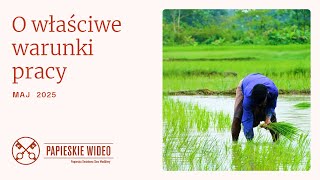 Papieska intencja modlitewna na maj 2025 - O WŁAŚCIWE WARUNKI PRACY