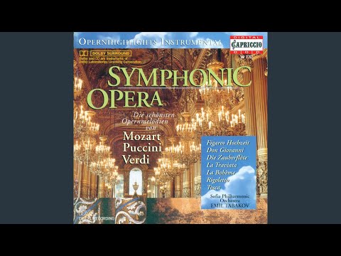 Die Zauberflote (The Magic Flute) , K. 620, Act II: Ein Madchen oder Weibchen (arr. for orchestra)