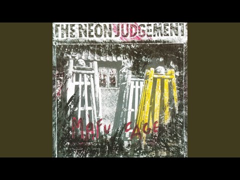 Tomorrow In The Papers