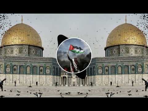 Jis Din Hum Maidan Main Aayenge 🇵🇸| Phalastine |🇵🇸 Remix Slowed + Reverb #palastine