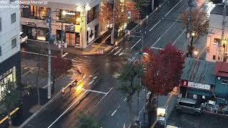 Sapporo in Summer, lofi radio 24 hours | August 16, 2026 | 札幌市中央区交差点 live webcam