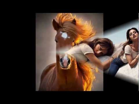 semino rossi(frag doc meine herz-)yasayan_kurt@hotmail.de