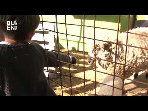 La GRANJA ESCOLAR que TRANSFORMA el aprendizaje.