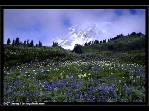 ANITA Costa Cordalis.wmv