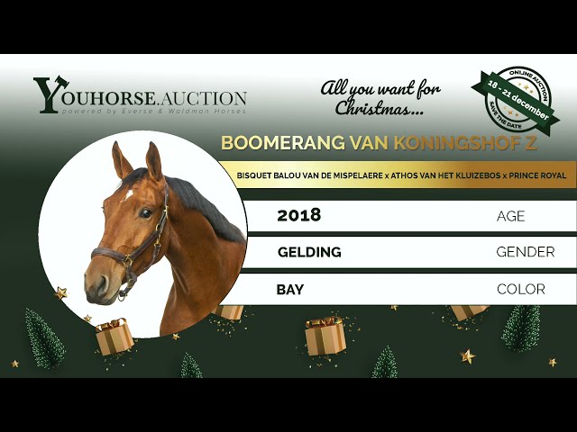 Boomerang