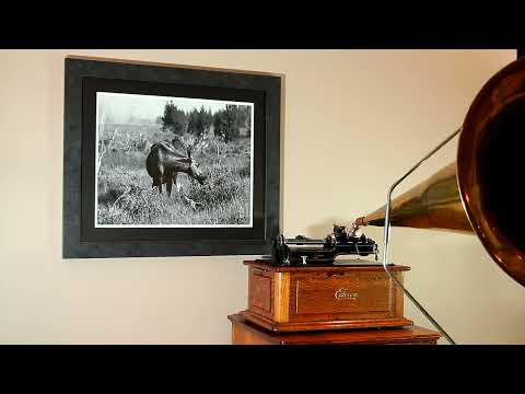 "The Little Green Valley" Frank Luther and Carson Robison, Edison Blue Amberol Cylinder Record #5572