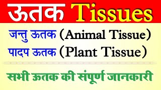 ऊतक क्या है | utak | padap utak | jantu utak | utak kitne prakar ke hote hain | tissue in hindi
