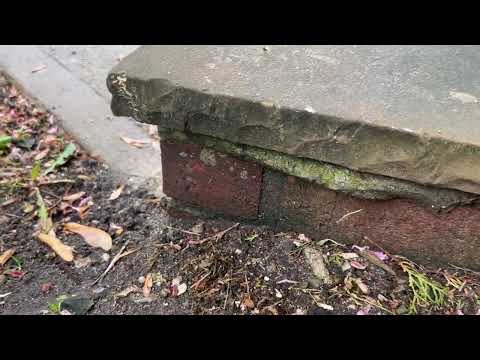 Exterior of the Home Infested with Ants in West Creek, NJ