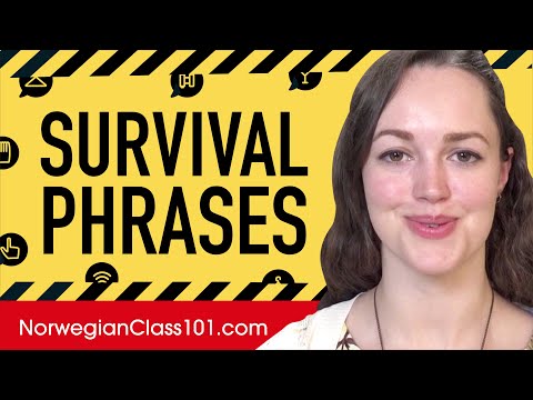 All Survival Phrases You Need in Norwegian! Learn Norwegian in 40 Minutes!