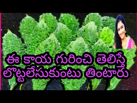 కాకరకాయ ప్రయోజనాలు, Anjali all in one,kakarakaya upayogalu,Advantages of Bitter Gourd,kakarakaya use