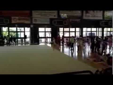 2014. Elisa Gabrielli - Palla