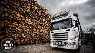 SureFire Wood Commercial - Sustainable Firewood