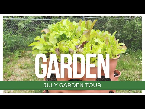 ONLY 75 Days Of Growing!! Zone 1A Gardening - July Garden tour | Northern Saskatchewan Garden