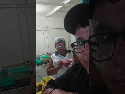 Lanchonete da Acarajé da Eva em Casa Nova Bahia #humornabr #acarajé