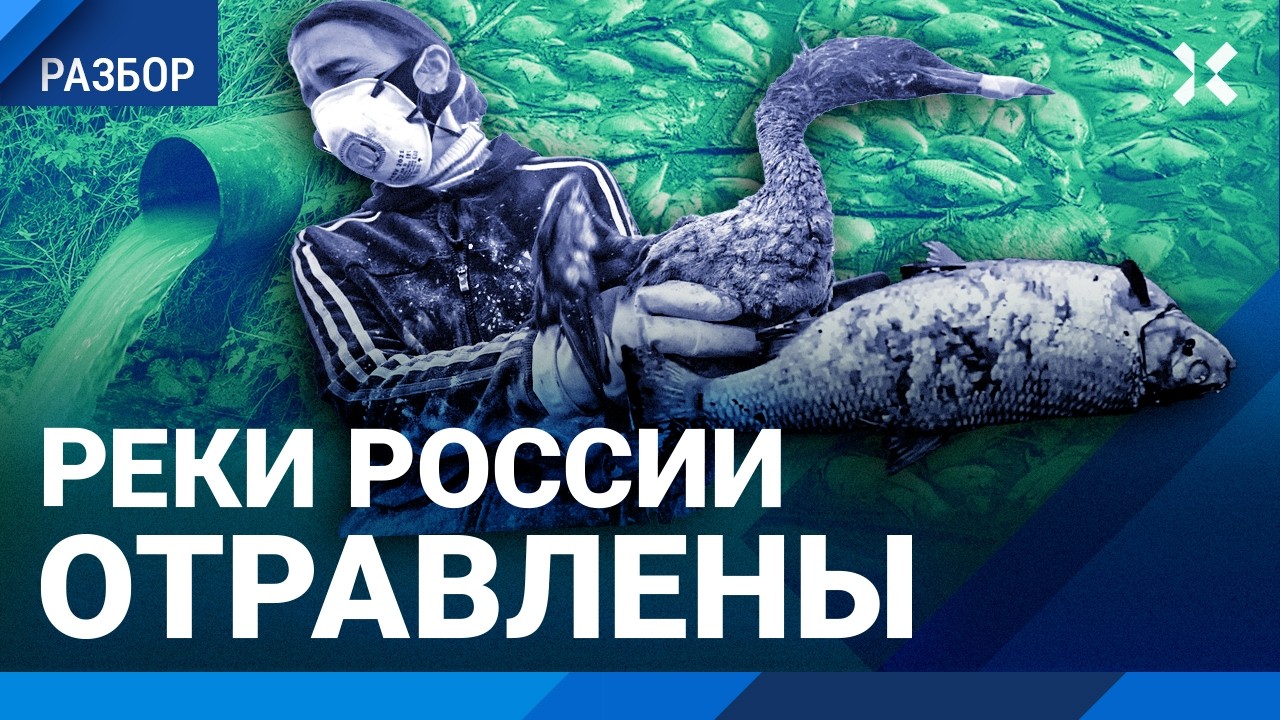 Реки России отравлены. Экологическая катастрофа под Москвой и по всей Росси?