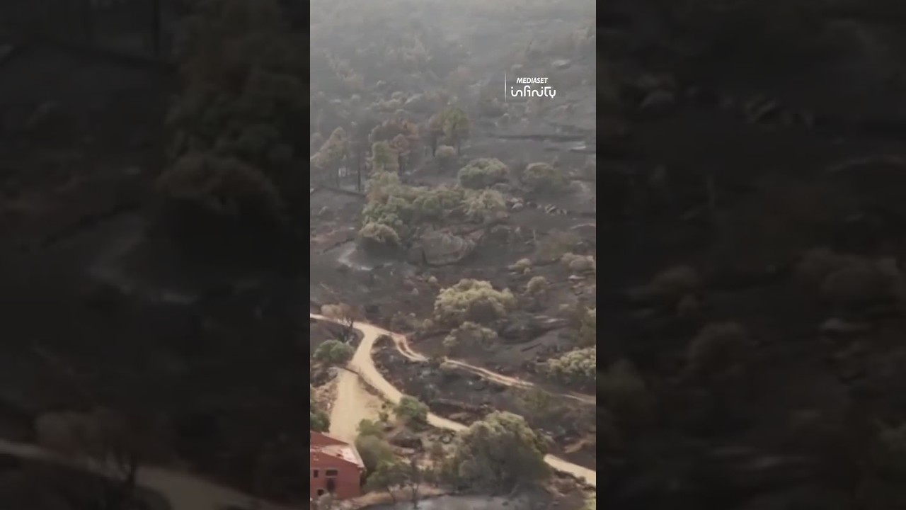 El entorno del embalse de Burguillo, arrasado por el peor incendio de la historia de España