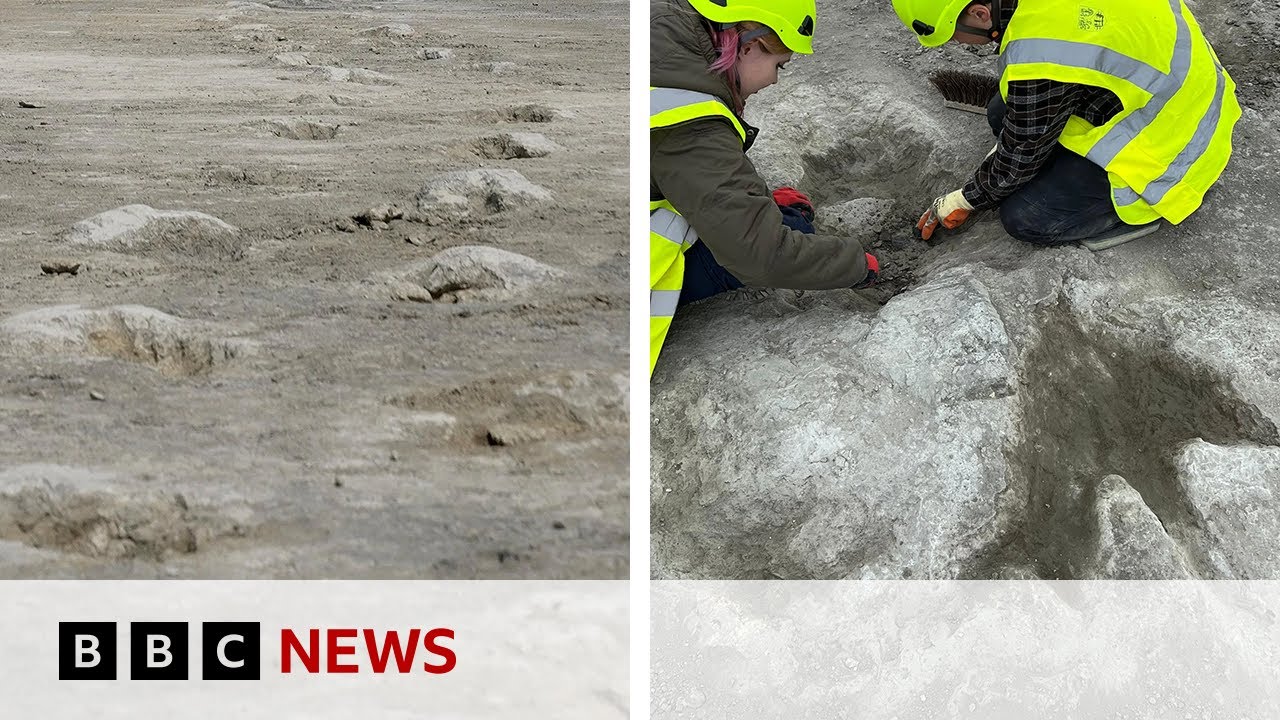 UK's biggest ever dinosaur footprint site discovered | BBC News