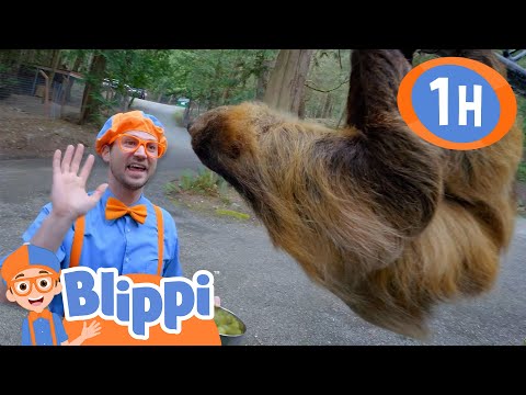 Blippi Visits Wildlife Park -Wolves & Other Animals | Animals for Kids | Learn about Animals