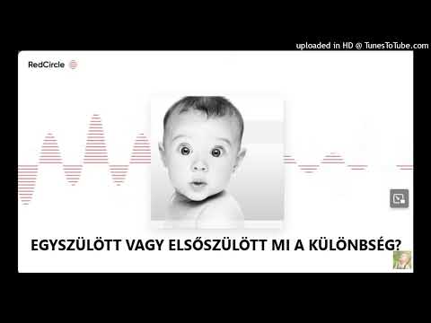 EGYSZÜLÖTT VAGY ELSŐSZÜLÖTT MI A KÜLÖNBSÉG?