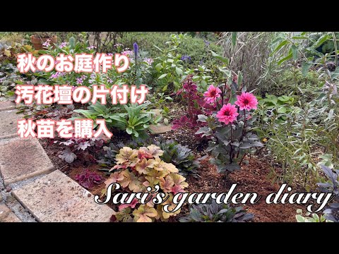 巨大なブタクサ、ヘラクレスの多年草 植物