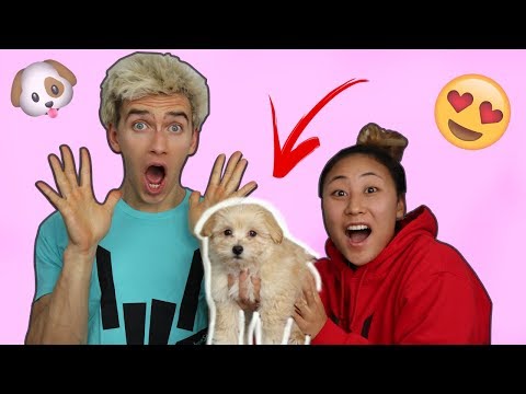 SURPRISING MY BROTHER WITH A PUPPY!! (EMOTIONAL)