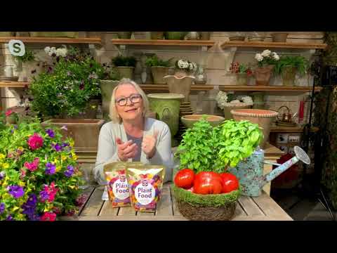 Richard Jackson Blossom Booster Plant Food Choice of 2 or 4 lbs. on QVC