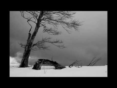 Te Deum Laudamus - Mândru-i cerul ca argintul