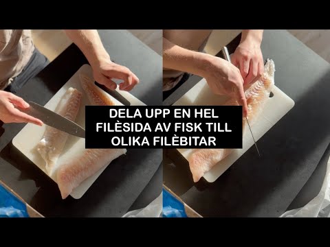 FriskFisk Fiskskola - Ta hand om helfiléer