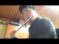 Amor prohibido (L&aacute;ndevir cover flauta y guitarra)