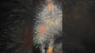 愛媛家の田舎の花火もなかなか良きものかな#shorts